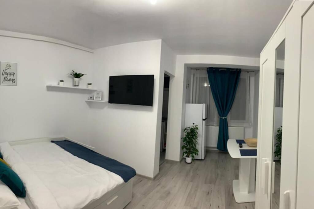 Cozy Studio Apartament Zalău Extérieur photo