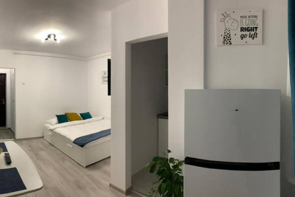 Cozy Studio Apartament Zalău Extérieur photo