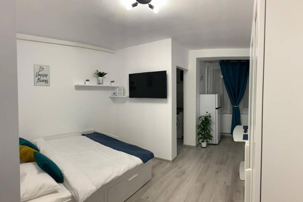 Cozy Studio Apartament Zalău Extérieur photo