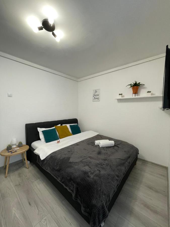 Cozy Studio Apartament Zalău Extérieur photo